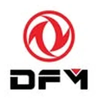 DFM
